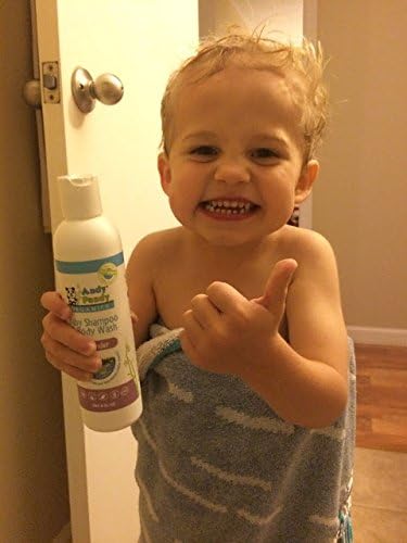 Andy Pandy Organics 100% Natural & Organic Baby Body Wash & Shampoo (8 fl oz, Sweet Orange)...