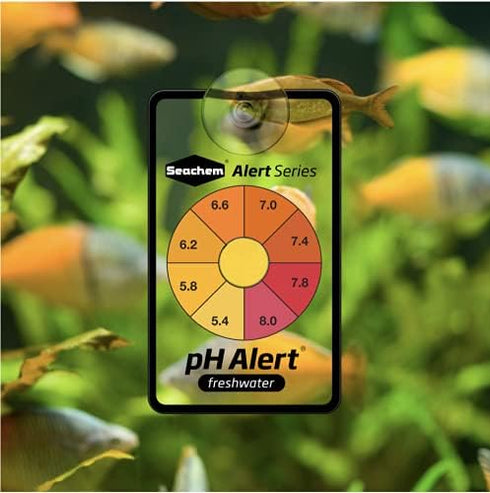 Seachem 28658 Alert Combo Pack white 6 x 3 x 4 inches...