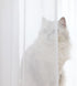 ABCHOME Sheer White Curtains 84 Inches Long Window 2 Panels Sheer Curtains 15 Colors Clear White Beige Grey Purple Pink Size 63 72 95 108 145 Long...
