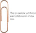 HAHIYO Paper Clips Sturdy 4 inches Length 14 Pack Paperclips Heavy Duty Tight Grip Rust Proof Reusable Metal Bright Rose Gold for Home Office Scho...