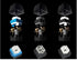 Pack of 5 Romer-G Mechanical Keyboard Switches Compatible for Logitech G310 G512 G513 K840 G810 G910 G413 Pro Keyboards (ROMER-G TACTILE BLACK)...