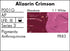 Grumbacher Pre-Tested Oil Paint, 37ml/1.25 Ounce, Alizarin Crimson (P001G)...