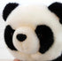 Lazada Stuffed Animal Panda Bear Baby Girl Gifts Panda Toys 6.5"...