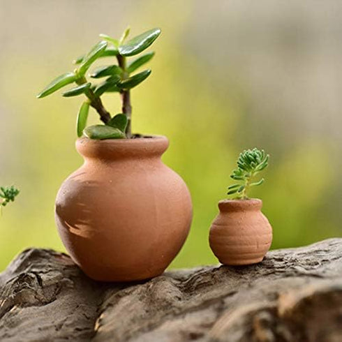 Miniature Tiny Clay Pots Pottery Planter for Mini House DIY Mini Garden Plants and Desktop/Windowsill Decoration, 8 Pcs...
