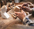 24 Piece Premium Beginners Basswood Carving/Whittling KIT. Suitable for Kids or Adults, Beginner to Expert. 100% Made in The USA!...