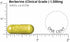 DOCTORS' PREFERRED Berberine Clinical Grade Supplement - Doctor Formulated | 1500 mg per Daily Serving | 30-Day Supply...