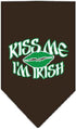 Mirage Pet Products Kiss Me I'm Irish Screen Print Bandana, Small, Turquoise...
