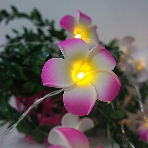 Lxcom Lighting Plumeria Flower String Lights 20LED String Light Hawaiian Foam Artificial Plumeria Flower Battery Powered Fairy Starry Lights for C...