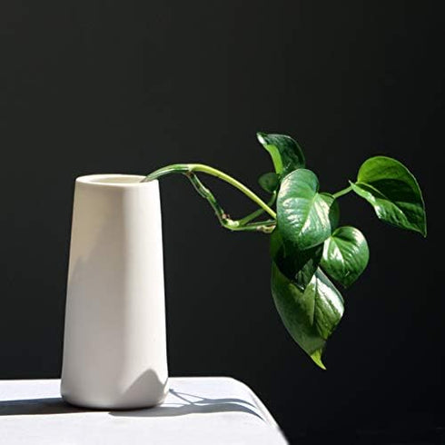 VanEnjoy 7" High Desktop Minimalist White Ceramic Vases Home Office Decoration Frosting Finish Vase...