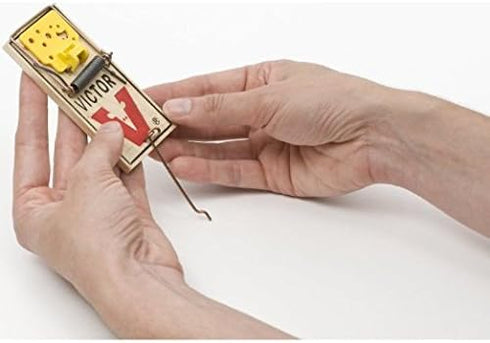 Victor Easy Set Mouse Trap (Pack of 10)...