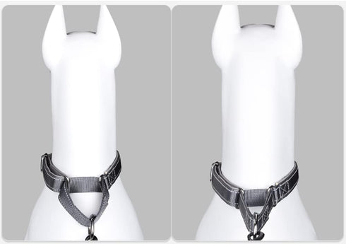 Adjustable Martingale Safety Training Dog Collars, Soft Neoprene Padded Breathable Nylon Pet Collar for Small Medium Large Dogs (L, Blue)...