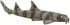 Safari Ltd. Bamboo Shark Figurine - Realistic 5.25" Sea Life Figure - Educational Toy for Boys, Girls and Kids Ages 3+...
