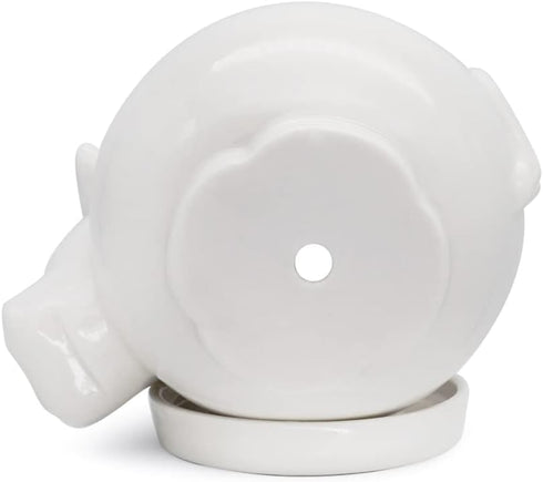 GeLive White Cow Ceramic Succulent Planter Tabletop Animal Plant Pot with Drainage Tray Indoor Cow Stuff Pen Pencil Brush Holder Desk Organizer De...