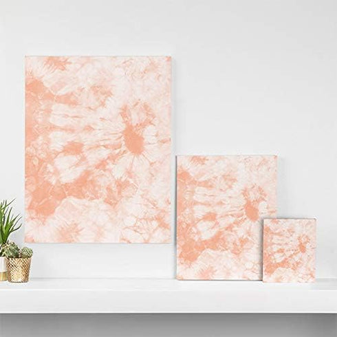 Deny Designs Amy Sia Tie Dye 3 Peach, 8" x 10", Art Canvas...