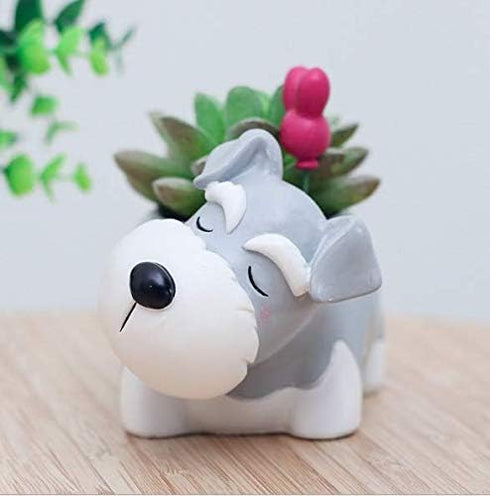 Schnauzer Dog Succulent Planter Pots,use for Office House Balcony Landscape Creative Decorative Flower Pots...