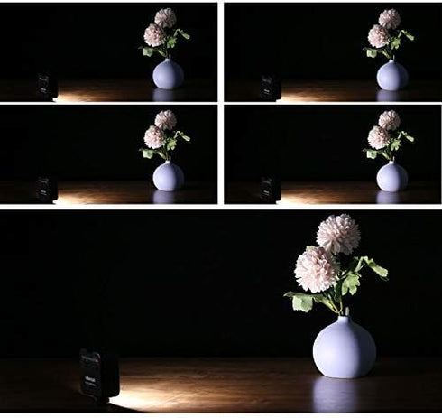 ULANZI VL49 2000mAh LED Video Light w 3 Cold Shoe, Rechargeable Soft Light Panel, Portable Photography Lighting for DJI OSMO Sony DSLR Canon Camer...