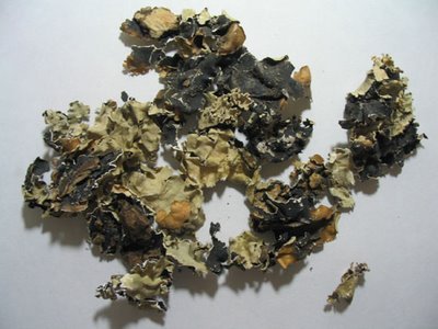 Dagad Phool (Pathar Phool) or Black Stone Flower 50gram...