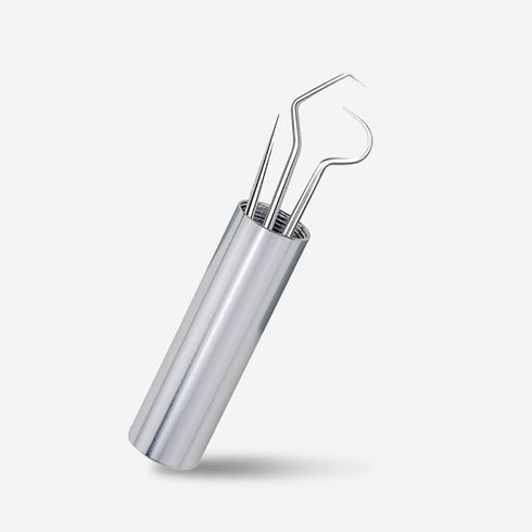 304 Stainless Steel Teeth Cleaning Tools Portable Metal Toothpicks Multi Functional Teeth Tools with Storage Tube for Men Women 7 Pcs...