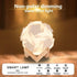 Smart Offline Voice Control DIY Puzzle Lamp - Modern IQ Jigsaw Light with Non-Polar dimming, Timing, USB Plug and Play Kids-Friendly Funny Home De...