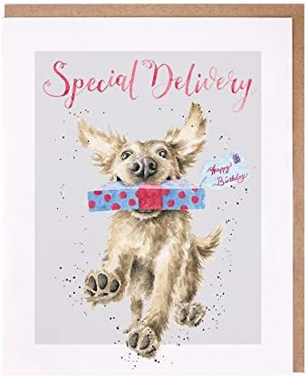 Wrendale Designs Party Animals Birthday Greeting Card - SPECIAL DELIVERY...