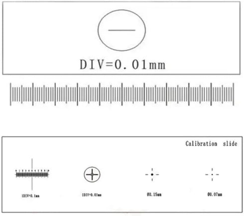 4 Scales Microscope Stage Micrometer Slide Optical Glass Measuring Tool Measurement Reticle for Biological Stereo Video...