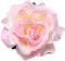 Dainty Big Rose Flower Brooches Pins Classic Brooch for Wedding Party Dance Banquet for Women Elegant Lapel Pins Ornament Bride Clothes Accessorie...