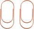 Jumbo Paper Clips, Wide Large Paper Clamps Rose Gold 2 inch 20pcs Durable and Rust Proof Paper Clips for Office, School, Home Supplies(Rose Gold)...