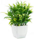 OFFIDIX Faux Plants Mini Potted Plastic Fake Green Plant Artificial Plants Aloe with White Square Pots for Home Decor (White Square Plastic Pots)...