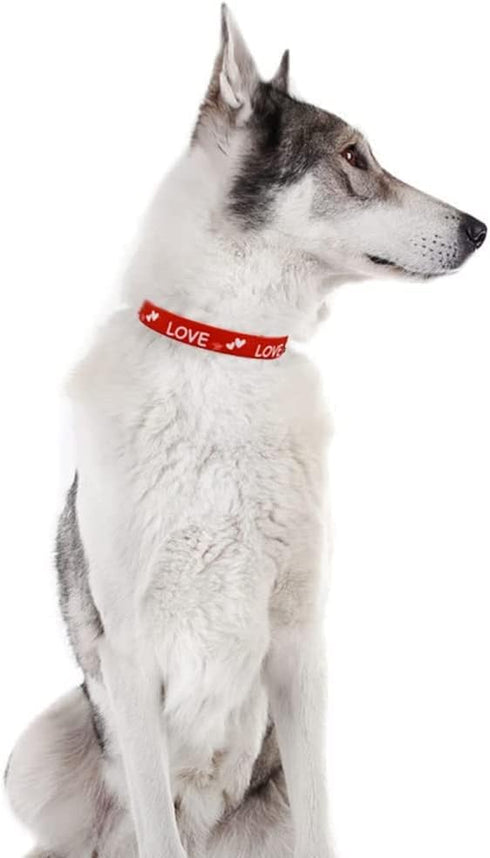2 Pack Valentine’s Day Dog Collar Adjustable Heavy Duty Nylon Holiday Pet Collars Red and Pink Large...