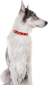 2 Pack Valentine’s Day Dog Collar Adjustable Heavy Duty Nylon Holiday Pet Collars Red and Pink Large...
