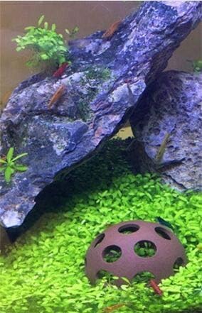 3Pcs Aquarium Ceramic Small Fish Shrimp Crayfish Breeding Rock Cave Shelter Hiding Spots...