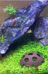 3Pcs Aquarium Ceramic Small Fish Shrimp Crayfish Breeding Rock Cave Shelter Hiding Spots...