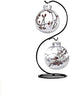 Archi 3 Pack Creative Hanging Plant Glass Stand Flower Holder for Landscape Garden Decor (S Shape Stand)...