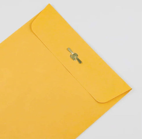 Clasp 6" x 9" Brown Kraft Envelopes 12 Count...