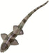 Safari Ltd. Bamboo Shark Figurine - Realistic 5.25" Sea Life Figure - Educational Toy for Boys, Girls and Kids Ages 3+...