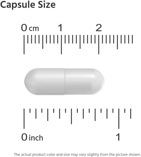 Women’s Probiotic 60 Billion CFU 60 Vegetable Capsules, Once Daily....