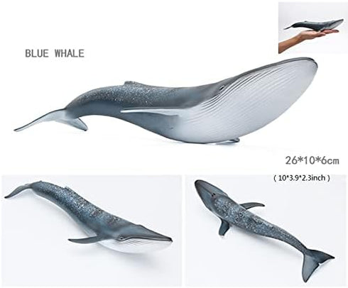 Solid Sea Animals Educational Toys,Simulation Ocean Shark Sea Creature Toy for Toddlers Kids (Blue Whale)...