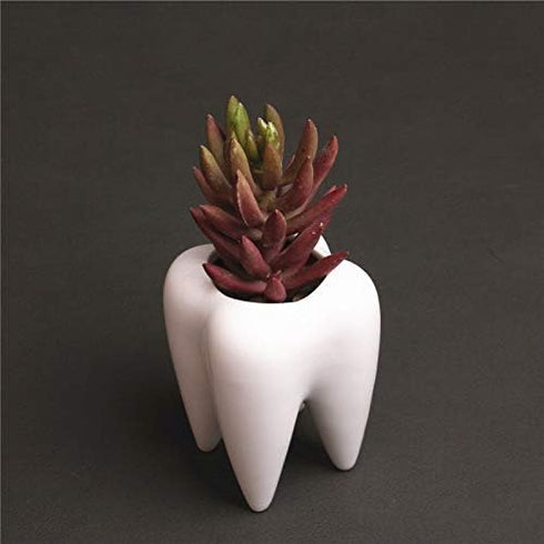 Cuteforyou Succulent Pots,Cute Cartoon Ceramic Succulent Cactus Flower Pot,Pencil Holders,Desk Accessories, Makeup Brush Storage Stand-Plant Not I...