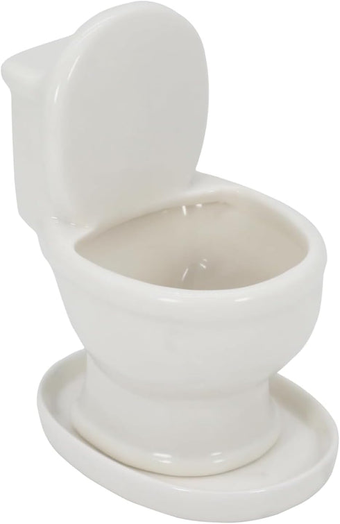 Toilet Shaped Planter Small Succulent Pot Small Succulent Pots with Drainage, Indoor Plant Container Planter with Drainage Hole Home Office Desk G...
