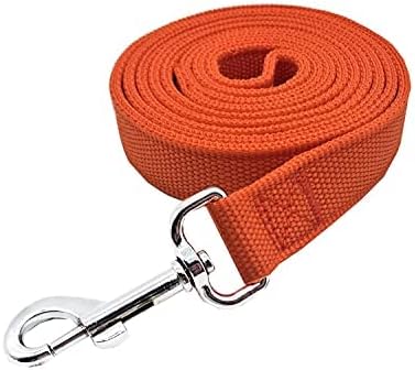 Strong Nylon Dog Leash with 2-Layer, 4 FT/ 6 FT/ 7FT Long, 1 Inch Wide for Medium Large Dogs (Orange, 1'' x 2 FT)...