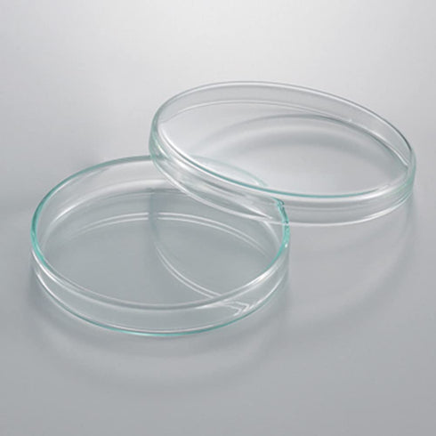 Plastic Plant Petri Dish with Lid, 90mm,10mm,15mm,10/Pack (9mm)...