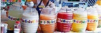 Eleganceinlife Aguas Frescas 3 gallons Vitrolero Plastic Water Container Vitrolero 3 gallons...