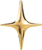 Gold Star Brooch Pin for Women Men Polished Stainless Steel Fashion Simple Brooches Lapel Pins Unique Hat Bag Dress Accessories Christmas Festival...