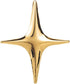 Gold Star Brooch Pin for Women Men Polished Stainless Steel Fashion Simple Brooches Lapel Pins Unique Hat Bag Dress Accessories Christmas Festival...