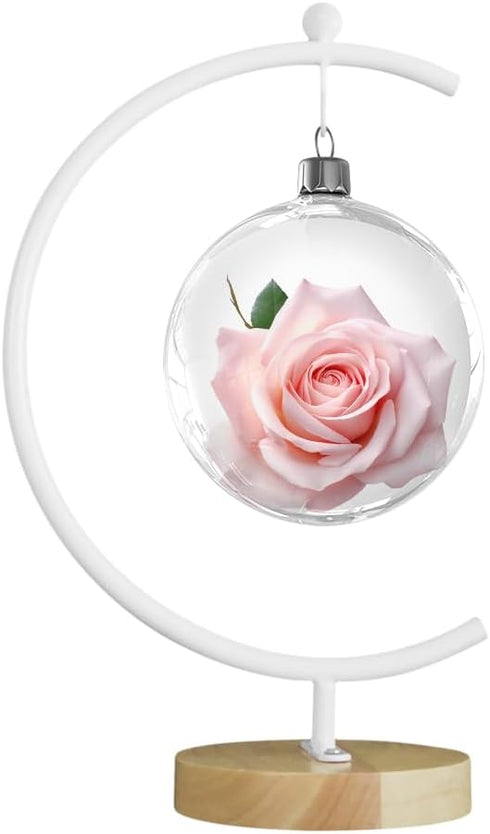 YY YEARCHY Ornament Display Stand Large Metal Air Plant Flower Pot Holder Iron Pothook for Hanging Glass Terrarium Globe Ball...