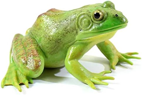 Gemini&Genius Tree Frog Toy Figure for Kids, Realistic Hand Painted Toy Bullfrog Action Figure Play or Display Toy, Animals Educational and Role P...