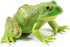 Gemini&Genius Tree Frog Toy Figure for Kids, Realistic Hand Painted Toy Bullfrog Action Figure Play or Display Toy, Animals Educational and Role P...