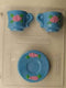Medium Teacup & Saucer Set Decorated With Flowers AO187...