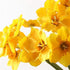 Tinsow Artificial Daffodil Flowers 15.8 Inches Narcissus Spring Flower Fake Silk Flower Arrangement for Home Wedding Decor (Yellow, 12)...