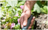 Gardena Classic Hand Trowel: Universal Spade for Planting and transplanting in The Garden and on The Balcony, Steel, Corrosion-Resistant, Ergonomi...